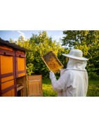 Hochwertige Beutenschutzprodukte im Kora-Onlineshop